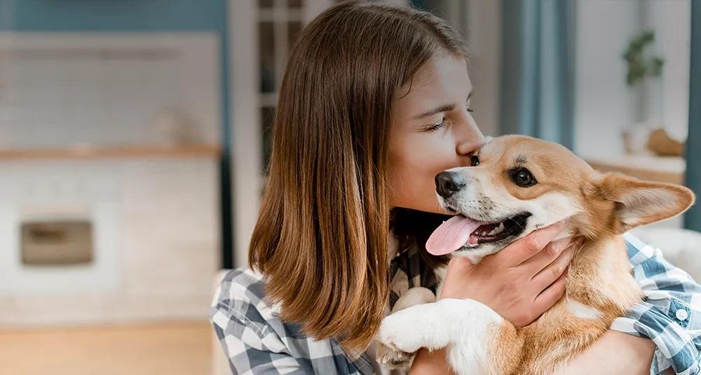 【口腔專題IV】犬貓該如何刷牙