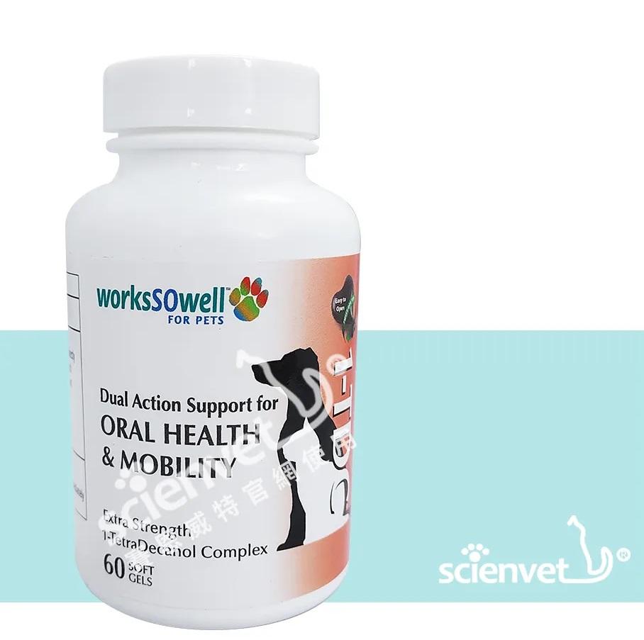 美國 1-TDC一錠護